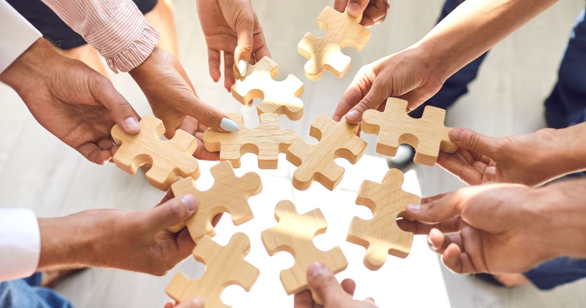 Organisation, Gestion & Formation